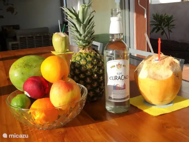 Villa Masha Danki huren in Curaçao, Curacao-Midden, Sint Michiel - villa