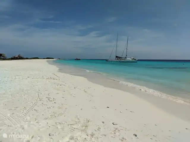 Villa Masha Danki huren in Curaçao, Curacao-Midden, Sint Michiel - villa