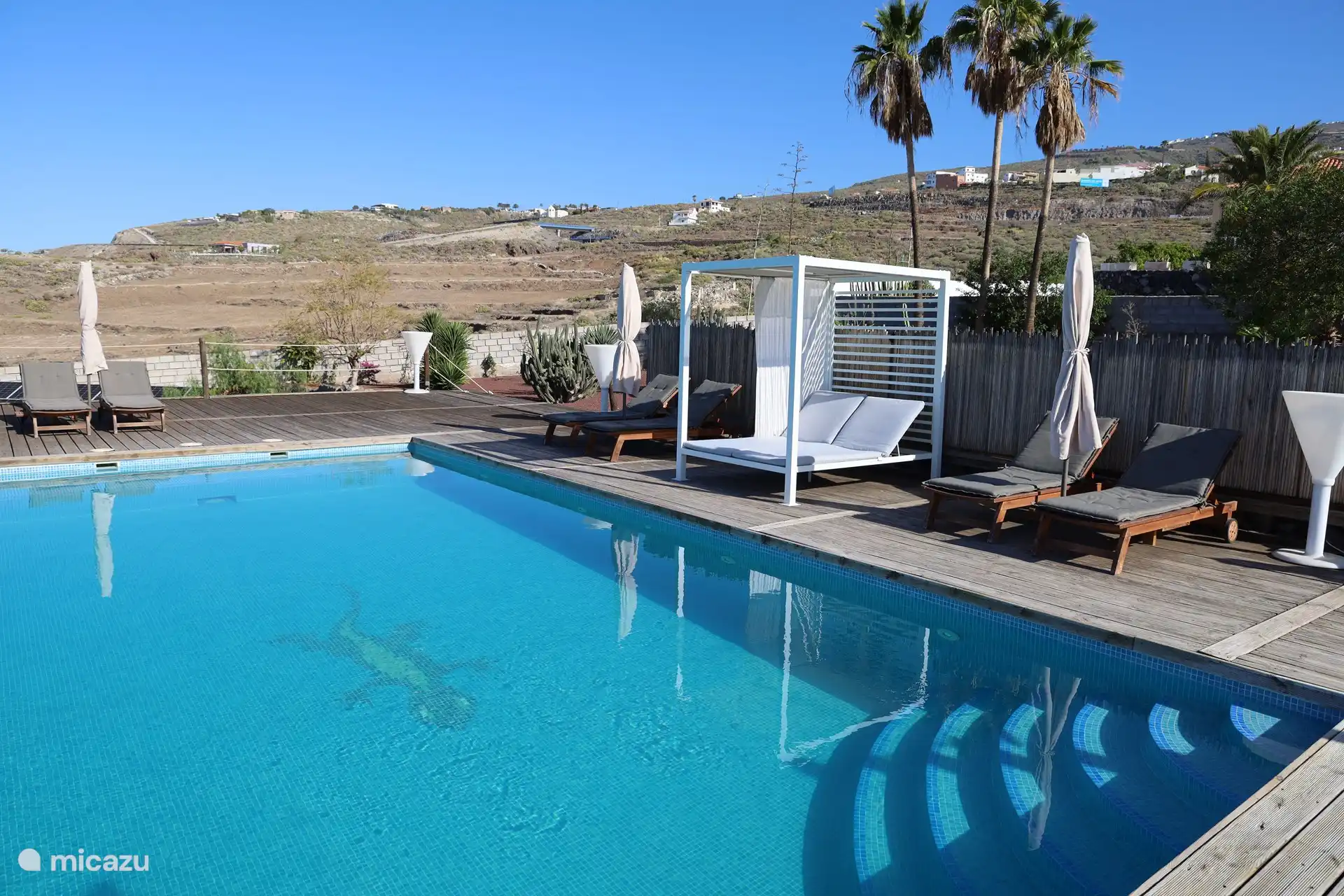 piscine avec lit lounge