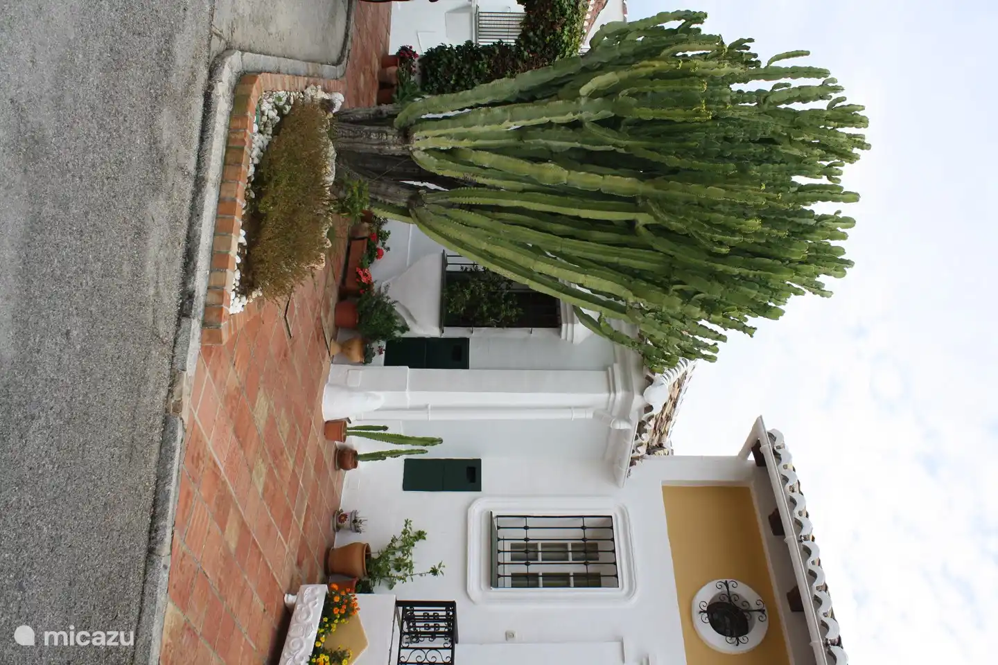 reife Bepflanzung und ein klassischer Baustil bilden eine schöne Kombination