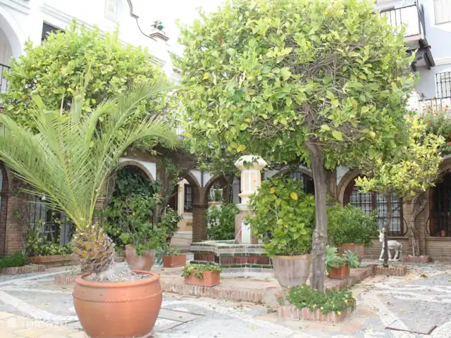 Location de Vacances Espagne, Costa del Sol, Mijas Golf, appartement - Casa Enviento Belle place avec des agrumes