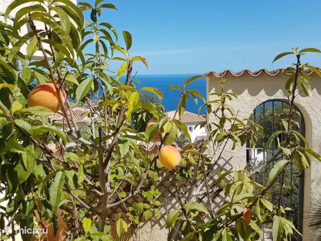 Villa Dalias | Espagne, Costa Blanca, Benitachell - villa Oui, nous avons aussi des fruits !