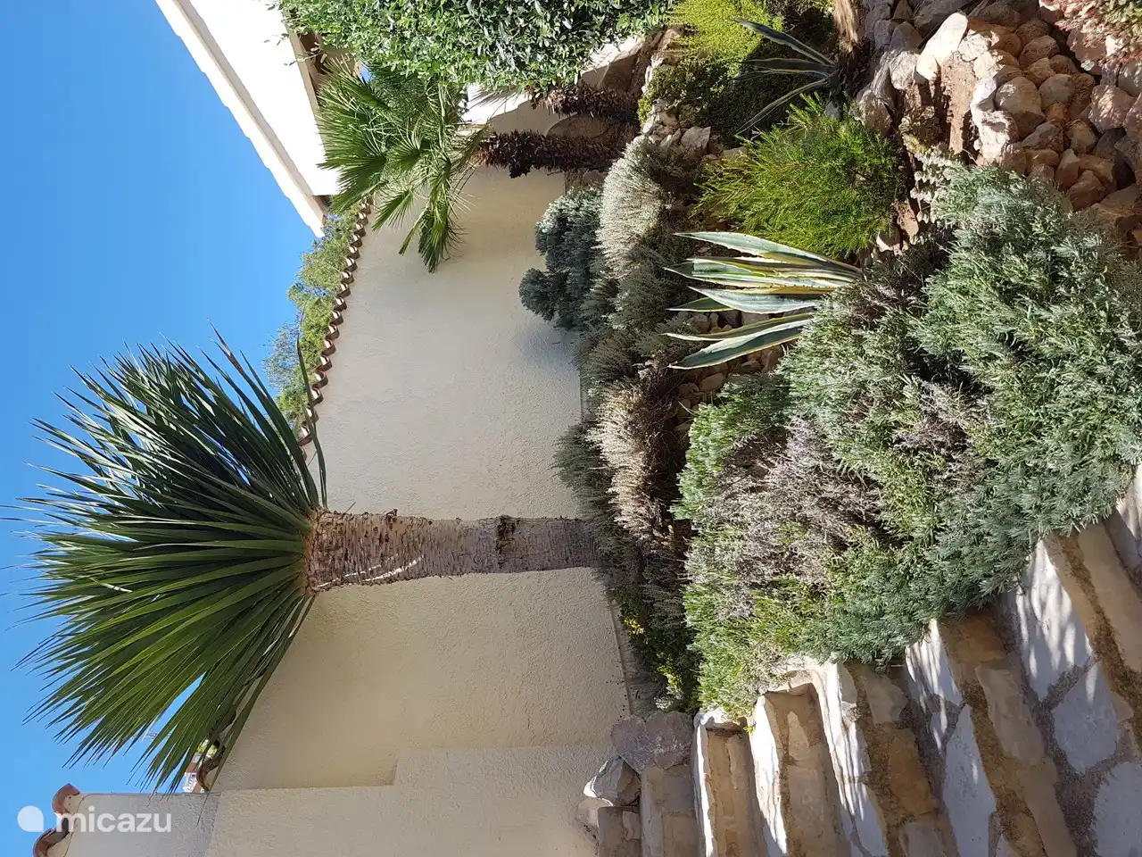 Auch wunderschöne Palmen