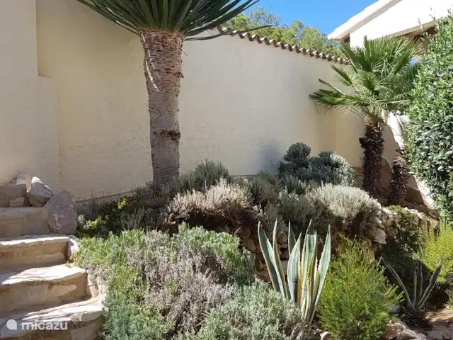 Villa Dalias | Espagne, Costa Blanca, Benitachell - villa De beaux palmiers aussi