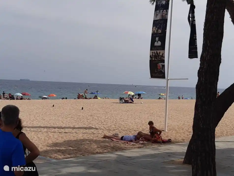 Boulevard 100 Meter von der Wohnung entfernt