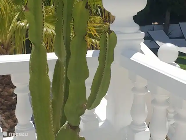 Casa Almendros Benissa Costa | Espagne, Costa Blanca, Benissa - villa