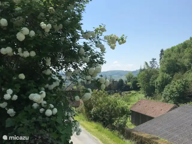 casa rural / cabaña en Francia, Dordoña, Coux-et-Bigaroque – Gite La Petite Chapelle Naturaleza floreciente