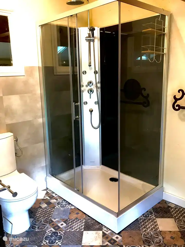 Cabine de douche massante