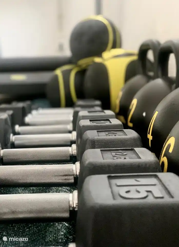 Das Fitnessstudio bietet alles, was Sie für ein großartiges Training erwarten können. 2x Wattbike Pro Fahrräder, 1x Laufband Technogym Excite 900, Kurzhanteln, Kettlebells & Gymnastikbälle, Widerstandsbänder, 2x Plyo Box, 10x Yogamatten