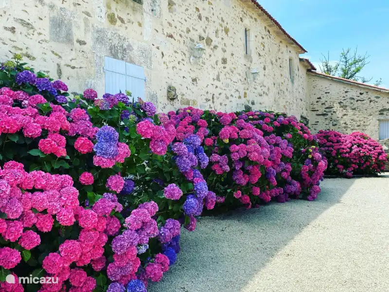 Logis La Tour en Francia, Vendée, Fontenay  - Casa rural / Cabaña Logis La Tour en Francia, Vendée, Fontenay  - Casa rural / Cabaña