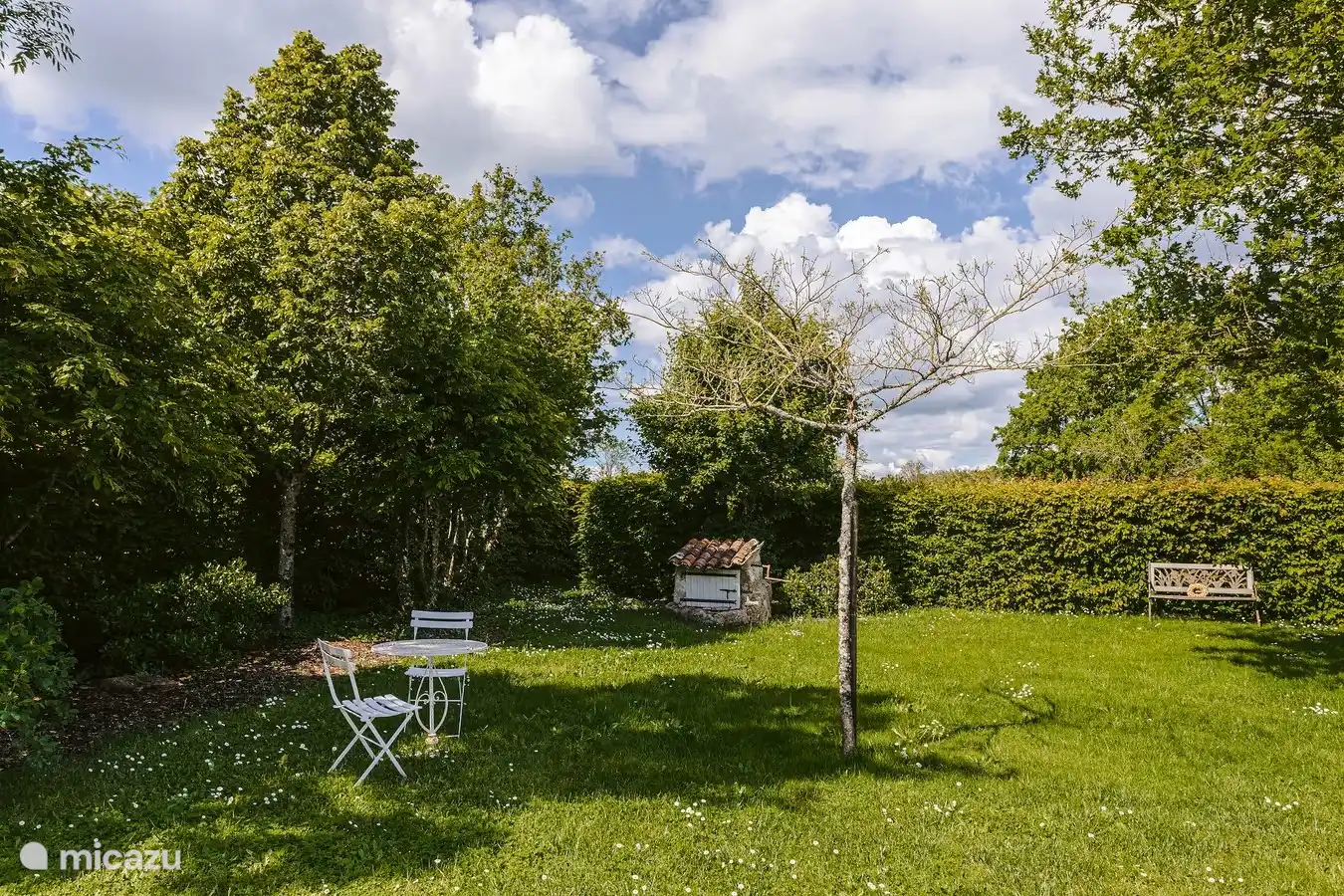 Großer umzäunter Garten