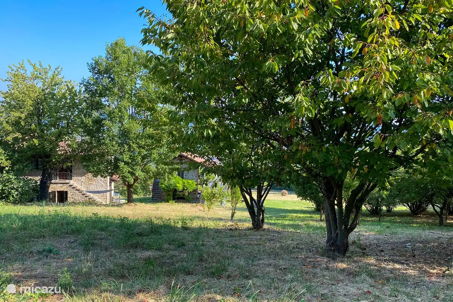 Der Obstgarten mit Haselnuss, Birne und Apfel bietet im Sommer viel Schatten.