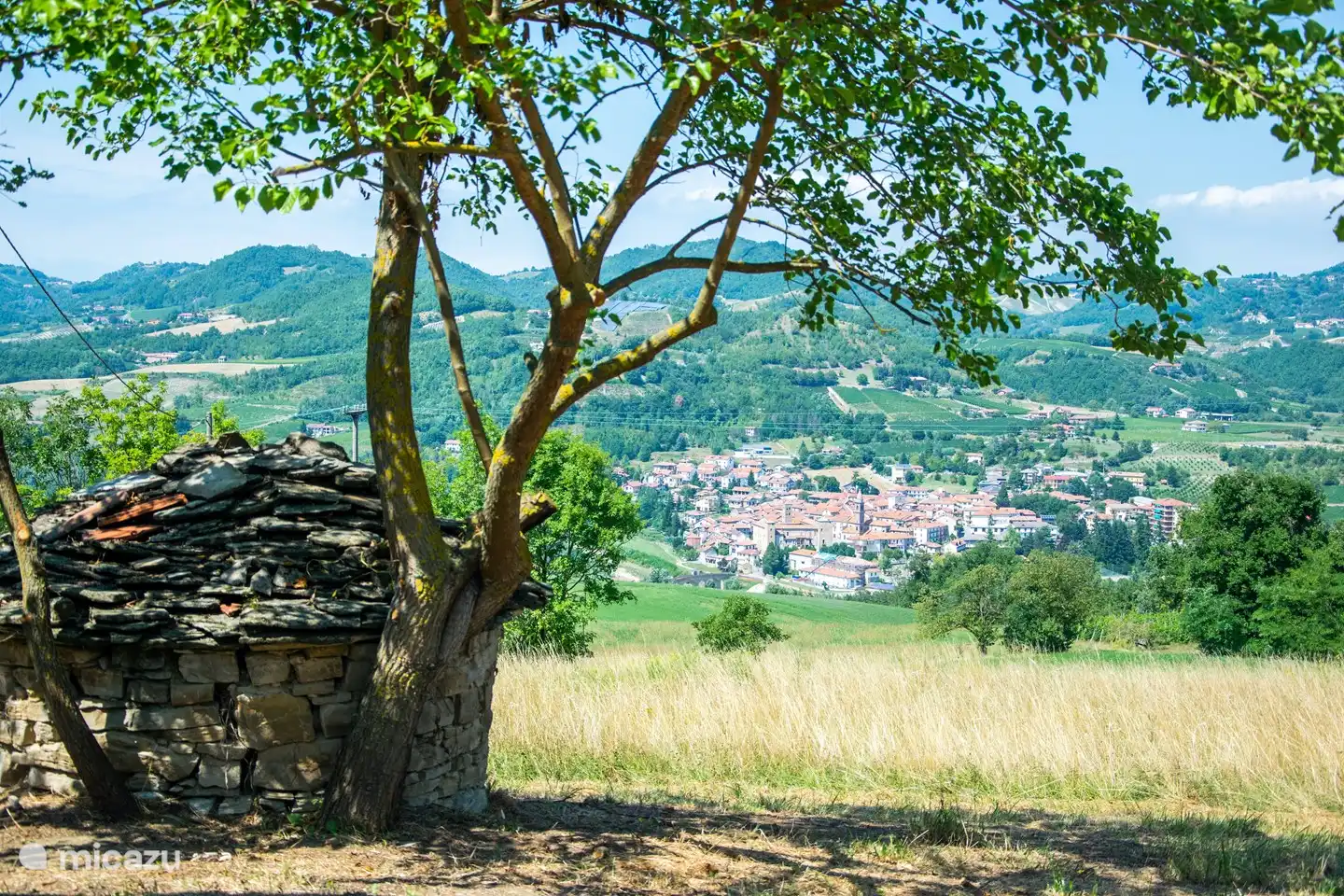 Der Panoramablick auf die Hügel der Lange mit dem Fluss Bormida darunter und die Weinberge mit besonders der Barbera-Traube, die in dieser Region gut gedeiht.