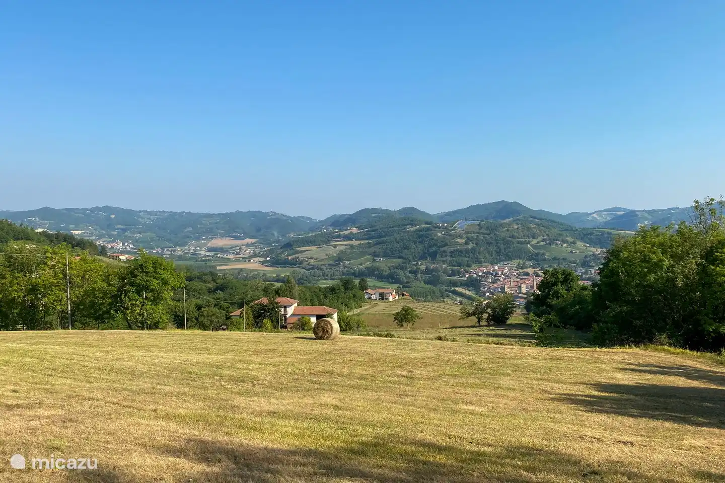 Der Vorgarten mit gemähtem Gras.