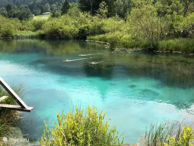 Haus Dreilandereck-skiën in 3 landen huren in Oostenrijk, Karinthië, Arnoldstein - vakantiehuis