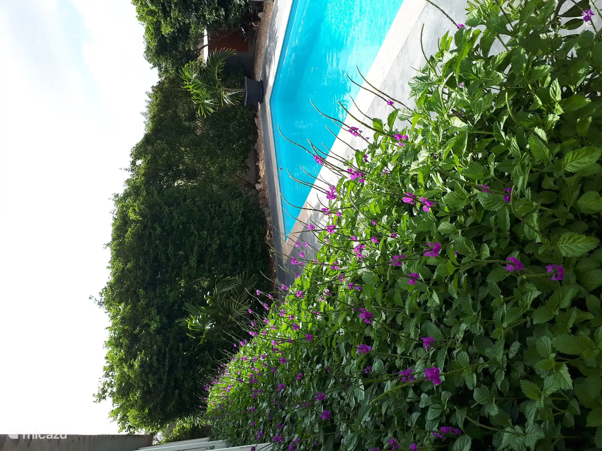 Adults only, Bonaire, Bonaire, Santa Barbara, apartment Kas Abu