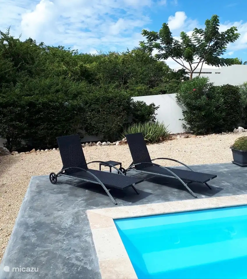 Swimming pool with nice sunbeds