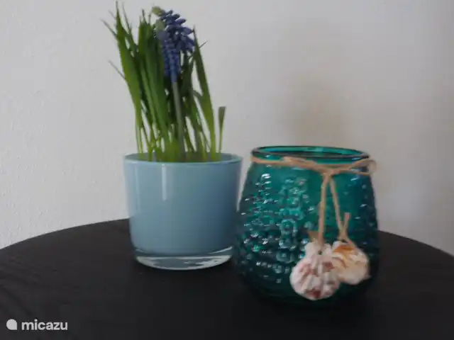 Location de Vacances Bonaire, Bonaire, Santa Barbara, appartement - Kas Abou Le salon