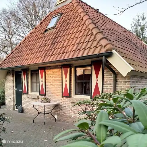 Hinterhaus in der Nachmittagssonne