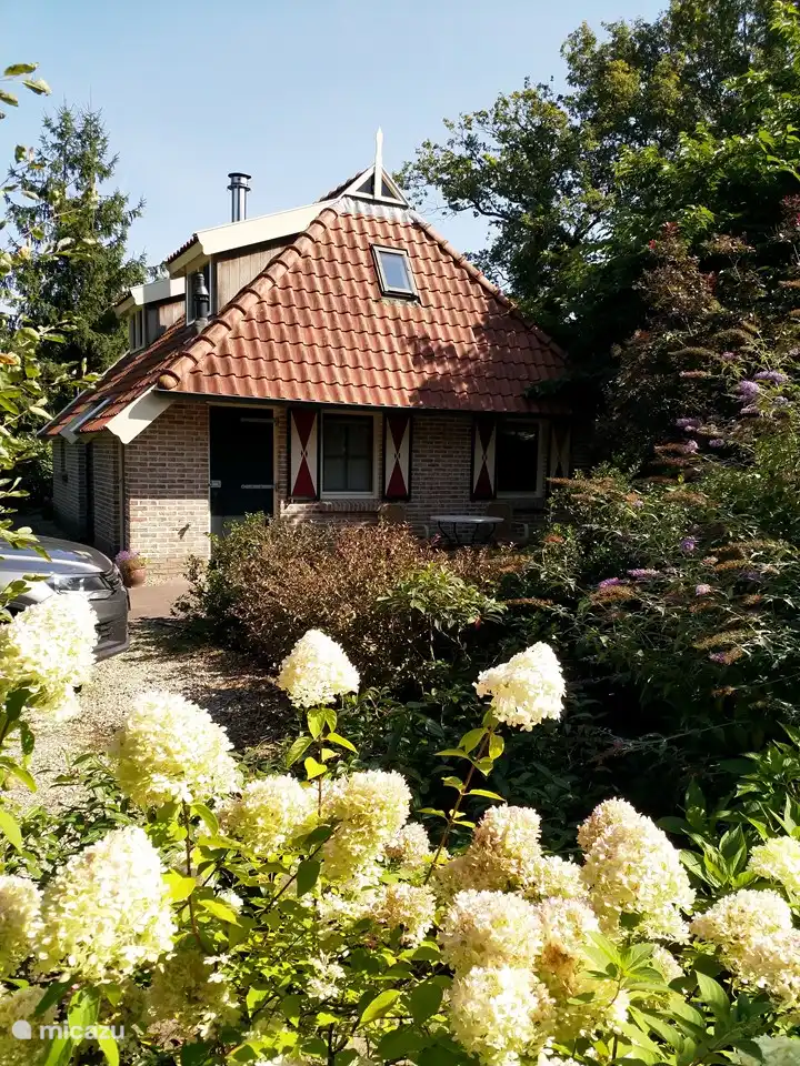 Rückseite mit großem Baum für Schatten