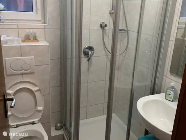 Uplandstrasse | Allemagne, Sauerland, Willingen - appartement Douche / WC