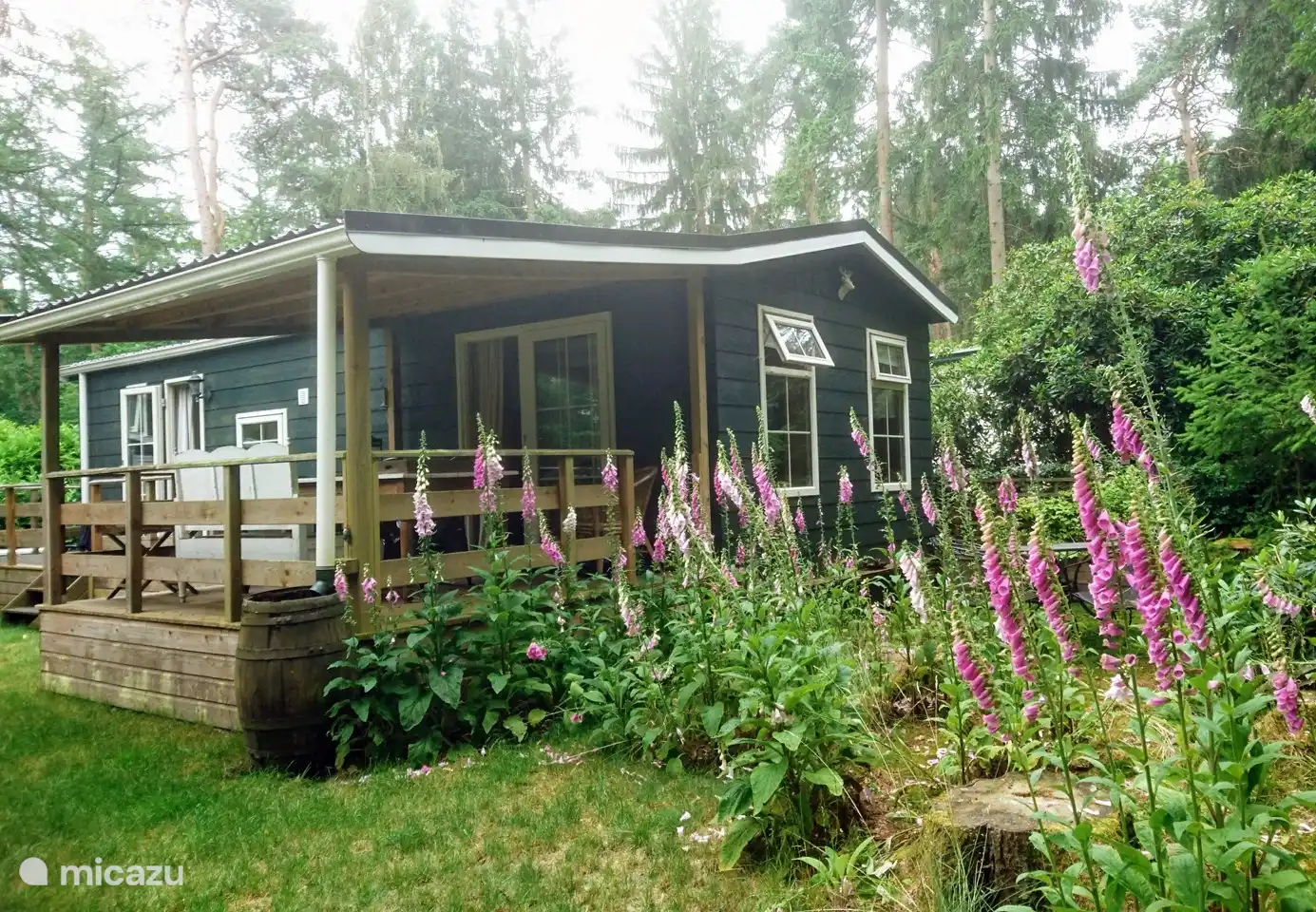 chalet huren in Arnhem, Gelderland, Nederland - Woudhof