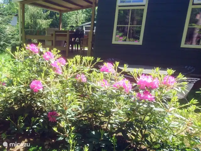 Wandelen, Nederland, Gelderland, Laag-Soeren, chalet Woudhof