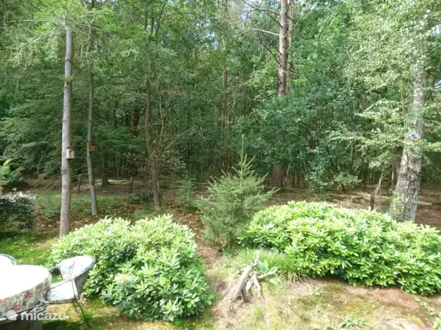 Wandelen, Nederland, Gelderland, Laag-Soeren, chalet Woudhof