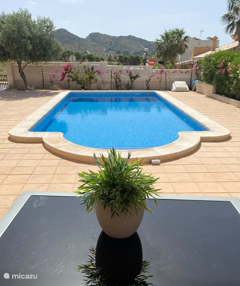 Groot zwembad aan de voorkant van de villa