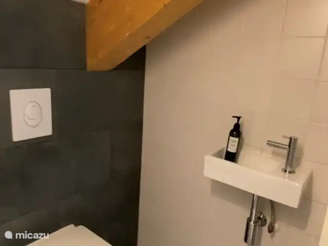 Boshuisje33 con uso de piscina. en Países Bajos, Güeldres, Vierhouten - casa vacacional