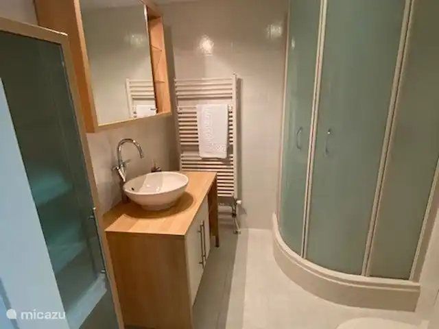 Boshuisje33 con uso de piscina. en Países Bajos, Güeldres, Vierhouten - casa vacacional baño cómodo