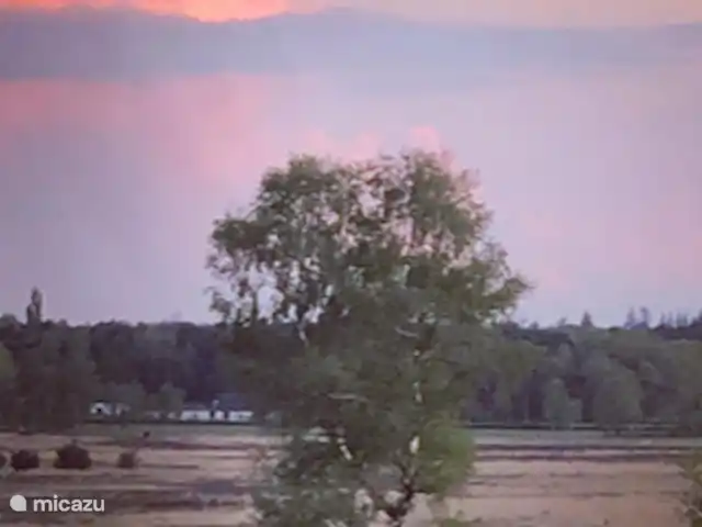 Boshuisje33 con uso de piscina. en Países Bajos, Güeldres, Vierhouten - casa vacacional Acceso directo a la salud