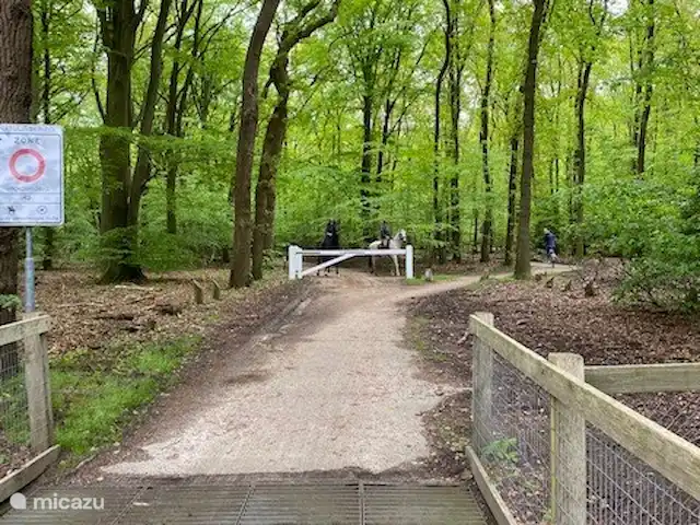 Boshuisje33 con uso de piscina. en Países Bajos, Güeldres, Vierhouten - casa vacacional Un montón de senderos para caminar y andar en bicicleta desde la cabaña.