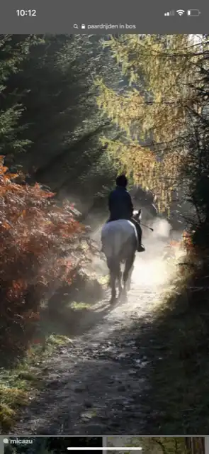 Möglichkeiten zum Ausreiten und Mitbringen des eigenen Pferdes möglich