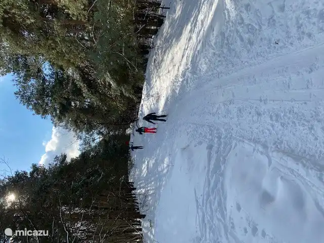 Im Schnee markierte Langlaufloipen