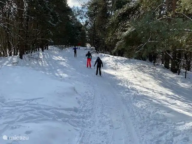 Boshuisje33 con uso de piscina. en Países Bajos, Güeldres, Vierhouten - casa vacacional Pistas balizadas en la nieve para el esquí de fondo