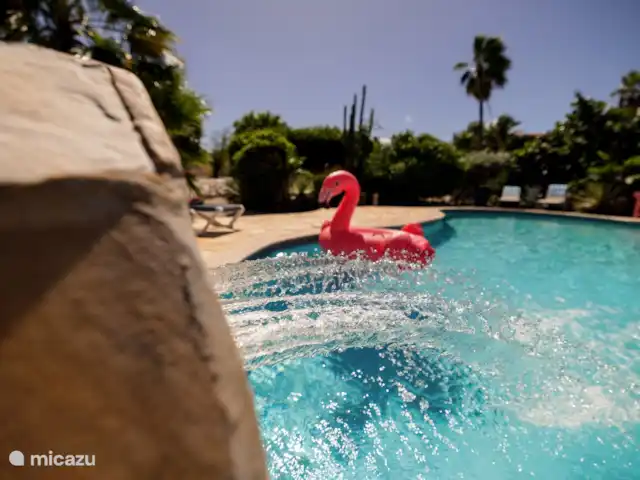 Aruba Hidden Garden Casa de 3 dormitorios en Aruba, Paradera, Paradera - casa vacacional Piscina