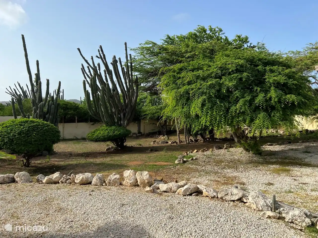 Jardin particulièrement grand avec de beaux oiseaux et toutes sortes d'autres animaux