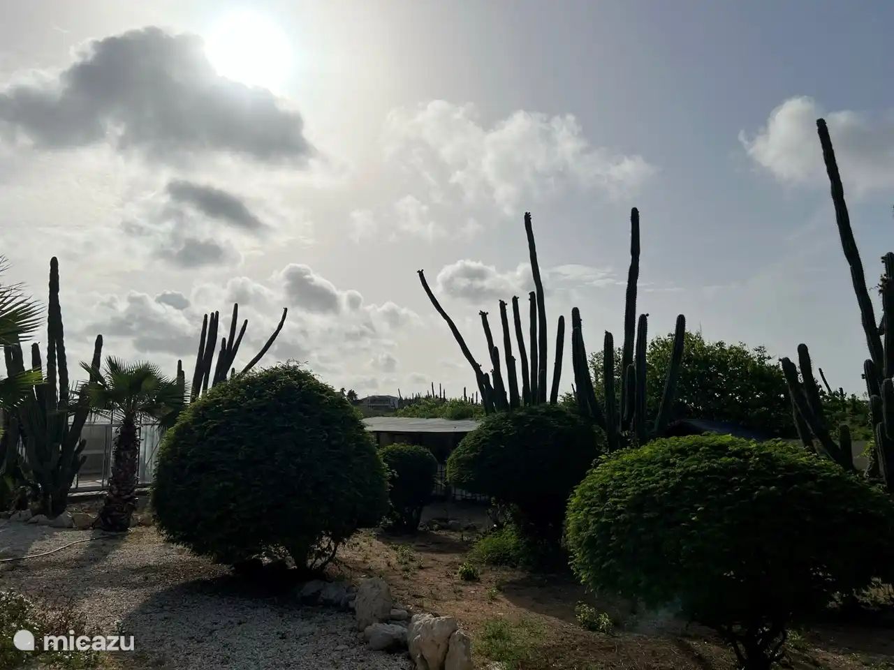 Jardin particulièrement grand avec de beaux oiseaux et toutes sortes d'autres animaux
