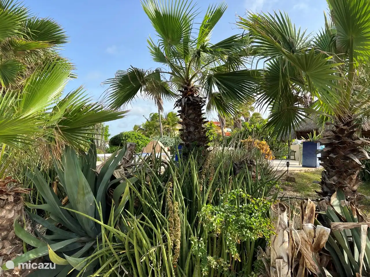 Jardin particulièrement grand avec de beaux oiseaux et toutes sortes d'autres animaux