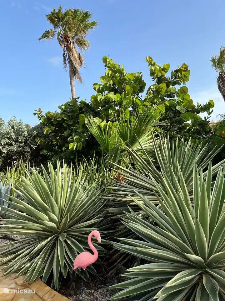 Jardin particulièrement grand avec de beaux oiseaux et toutes sortes d'autres animaux
