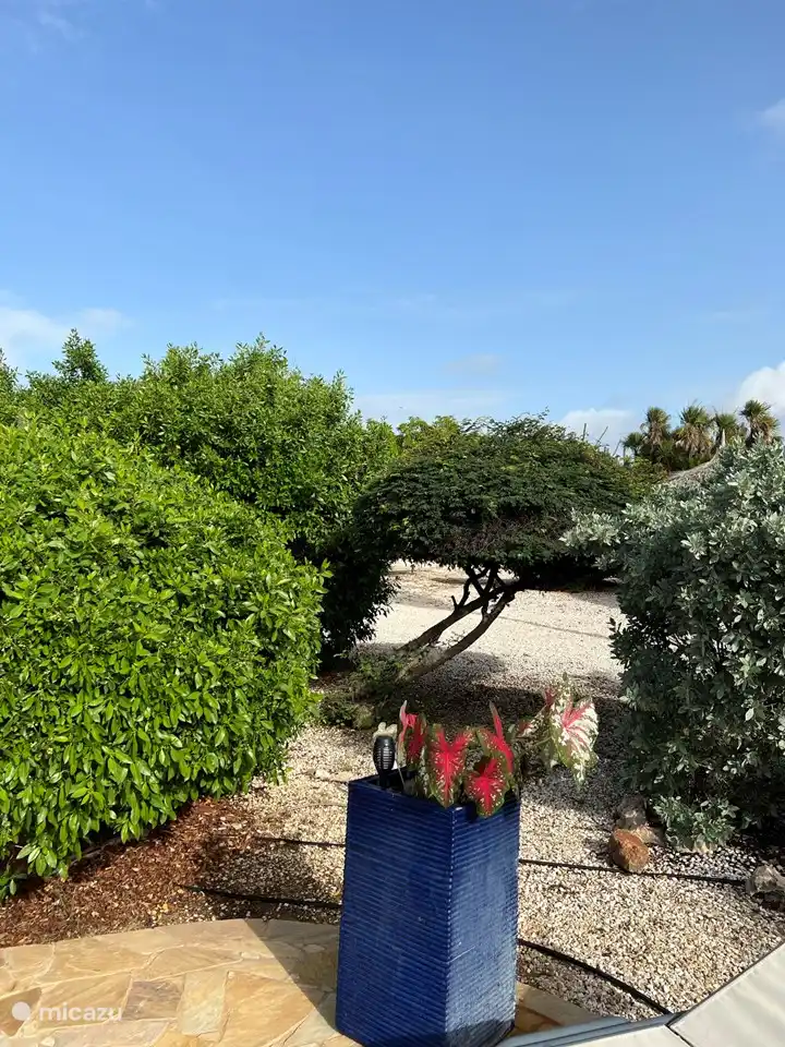 Jardin particulièrement grand avec de beaux oiseaux et toutes sortes d'autres animaux