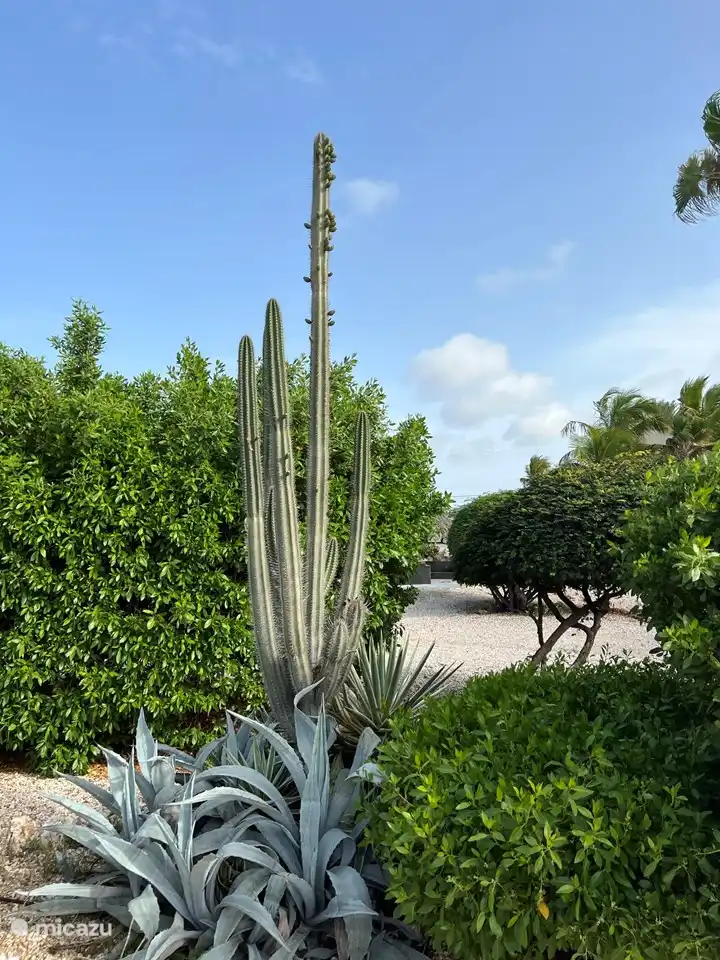 Jardin particulièrement grand avec de beaux oiseaux et toutes sortes d'autres animaux