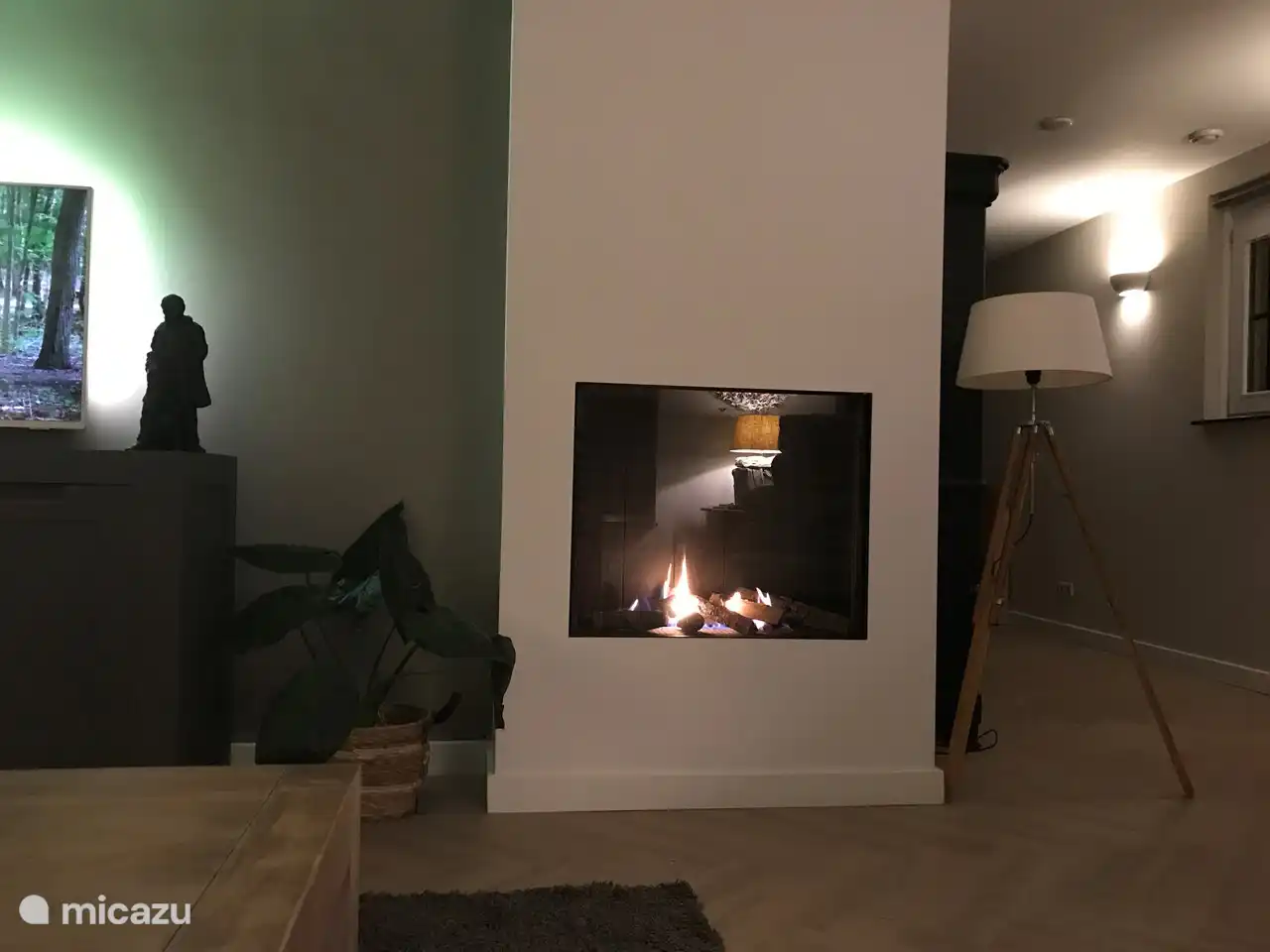 Gaskamin mit Fernbedienung und Fernseher im Wohnzimmer