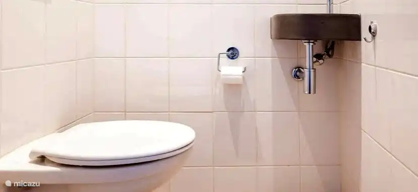 Toilette im Flur im Erdgeschoss.