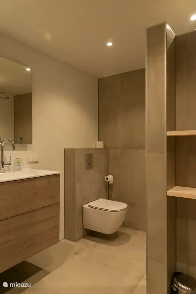 Toilette im Ensuite-Badezimmer des Hauptschlafzimmers im Untergeschoss.