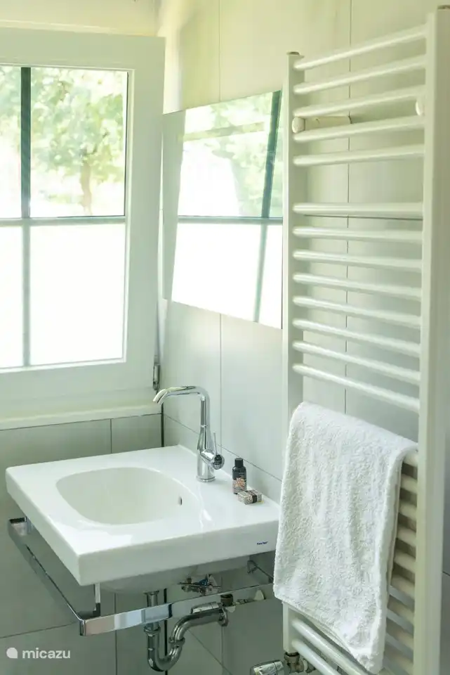 Badezimmer mit ebenerdiger Dusche, WC und Waschbecken im 1. Stock.