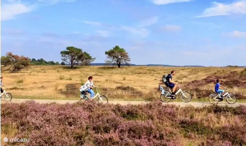 Schöne Fahrradrouten in Ede und Umgebung, die von unserem Haus aus gemacht werden können.