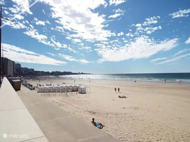 Chalet Lavande | France, Vendée, Château-Guibert - cabane en bois / lodge Les Sables d'Olonne