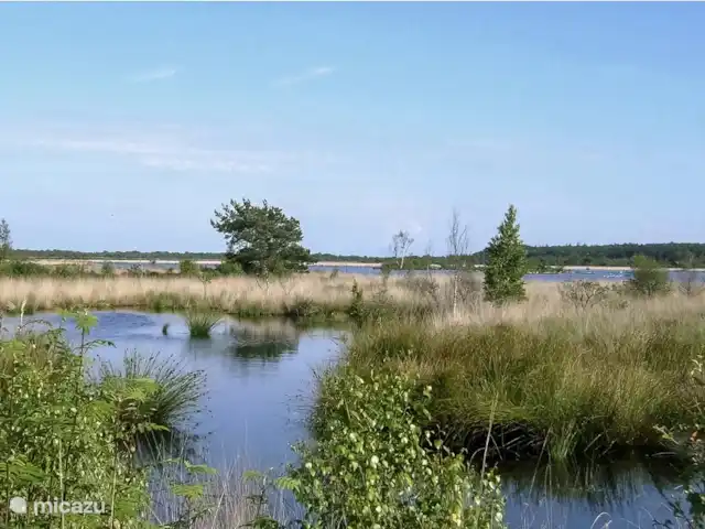 chalet huren in Nederland, Friesland, Oosterwolde – Vakantiehuis Fochteloërveen